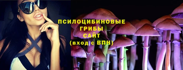 не бодяженный Елабуга