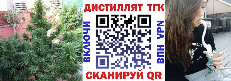 Купить закладки  Асино  ТГК THC oil 