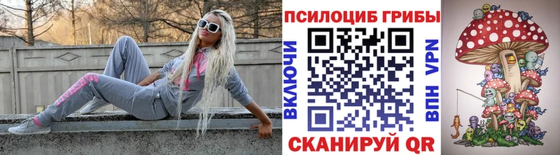 Галлюциногенные грибы GOLDEN TEACHER  Купить где  Асино 